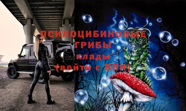 твердый Кулебаки