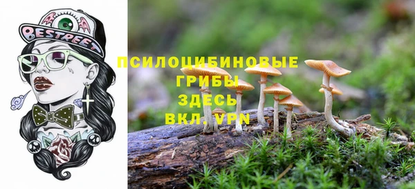 кокаин перу Краснослободск