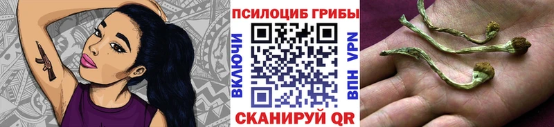цены наркотик Сурск Псилоцибиновые грибы мицелий